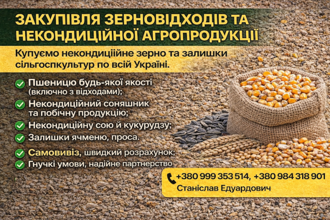 Закупівля зерновідходів та некондиційної агропродукції Київ - зображення 1