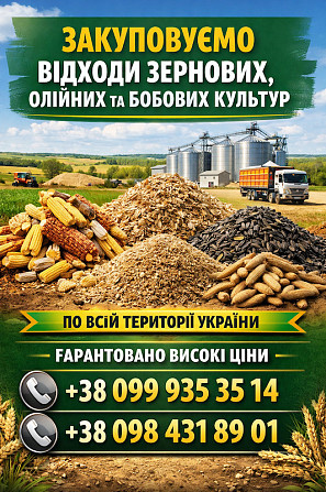Купуємо зерновідходи та некондицію Полтава - изображение 1