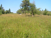 Продаж землі в Карпатах Івано-Франківськ