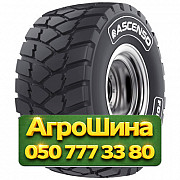 600/55R26.5 Ascenso FCR 185 173D SB Индустриальная шина Київ