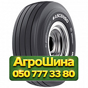 9.5R15 Ascenso IMB 168 123J PR12 Сельхоз шина Киев