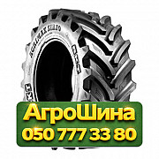 600/70R30 BKT AGRIMAX SIRIO 165/162D/E IF TL Сельхоз шина Київ