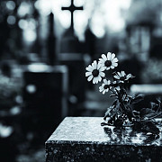 Ритуальные услуги и груз 200 в Харькове Харків