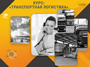 Курс «транспортная логистика»: профессия с высоким спросом за несколько недель Харків