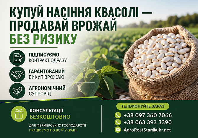 Насіння квасолі на продаж. Гарантія викупу врожаю Луцк - изображение 1