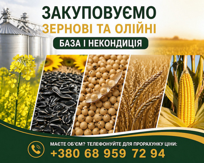 Закупівля зернових та олійних культур (база та некондиція) Кропивницький - зображення 1