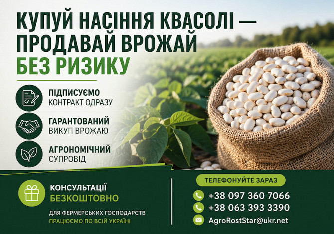 Насіння білої квасолі з контрактом на викуп врожаю Кропивницький - зображення 1