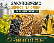Купуємо зернові, бобові та олійні культури (база та некондиція) из г. Одесса