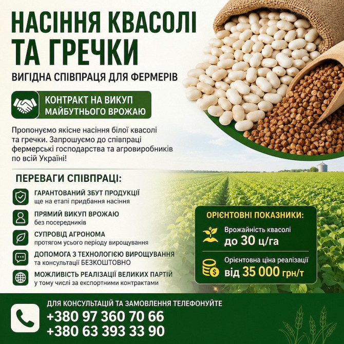 Насіння квасолі та гречки. Гарантія викупу врожаю Черкаси - зображення 1
