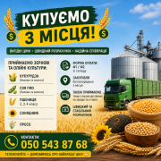 Купуємо зернові та олійні культури із м. Київ
