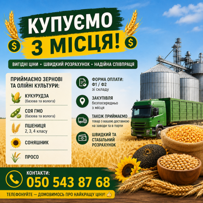 Купуємо зернові та олійні культури Київ - зображення 1