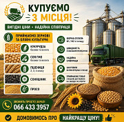 Постійно купуємо зернові та олійні з господарства. із м. Київ