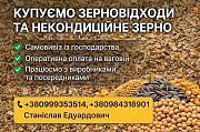 Купуємо зерновідходи та некондицію по Україні. Працюємо з посередникам Дніпро