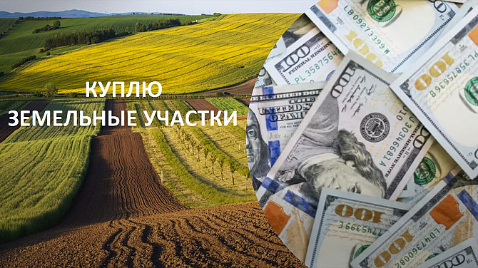 Куплю земли в Киеве и пригороде у собственника Київ - зображення 1