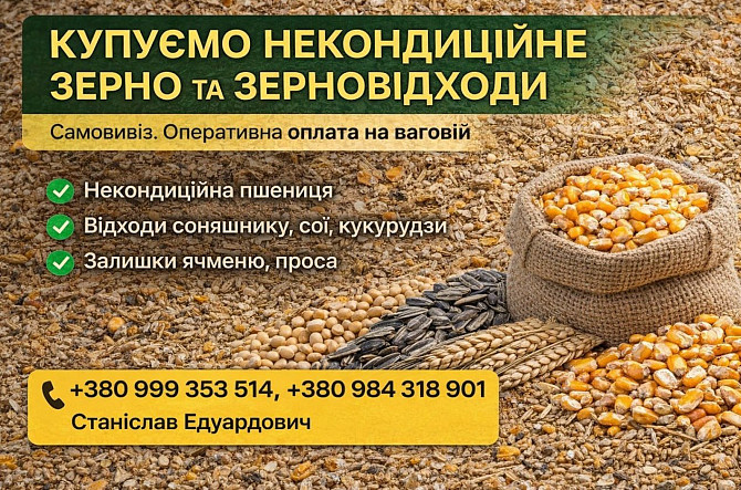 Купуємо некондицію та зерновідходи на постійній основі Чернігів - зображення 1