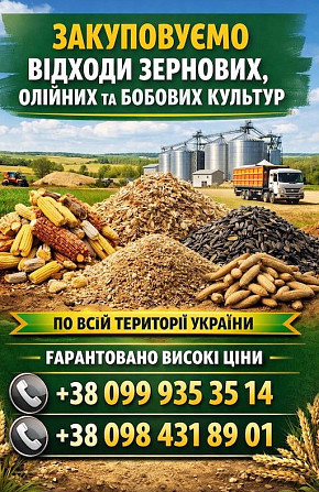 Купуємо зерновідходи, некондицію зернових та олійних Дніпро - зображення 1