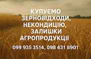 Закуповуємо некондиційне зерно та побічну агропродукцію Чернігів