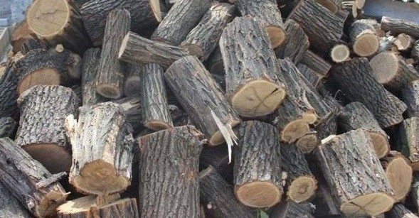 Реалізуємо дрова твердих порід (дуб, Граб, Ясен) колоті, рубані Луцьк Луцьк - зображення 1