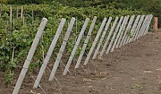 Железобетонные столбы для винограда малины Запорожья. Запоріжжя