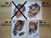 Наклейки котики для детской комнаты из г. Борисполь